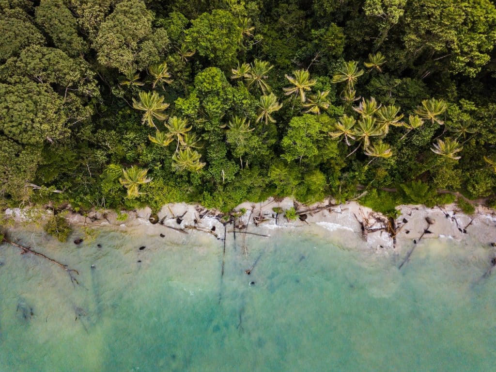 Aerial view of a beach in Costa Rica