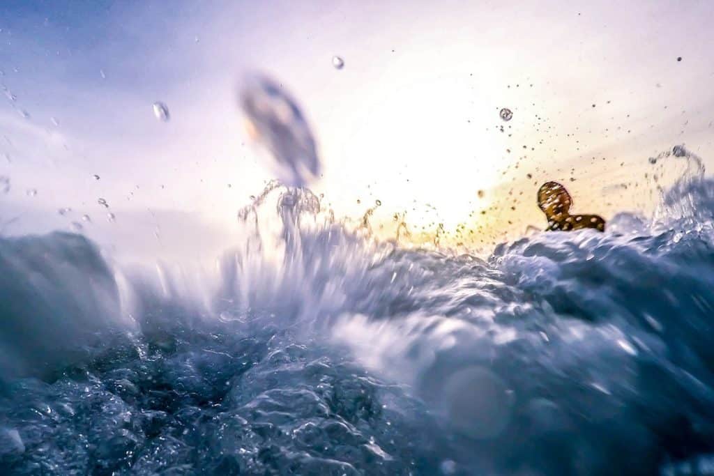 Rapturecamps Surfen Fotografie Wasser Sonne