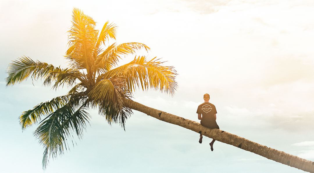 Ein Mann sitzt auf einer Palme in Bali