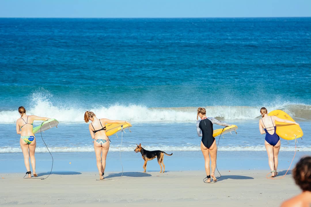 Gruppe von Surferinnen mit Hund am Strand