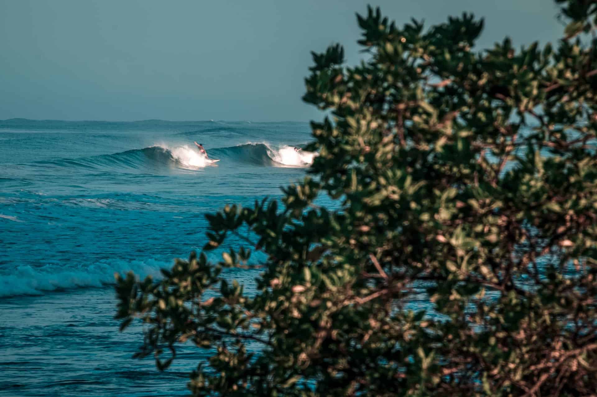 Rapture Surfcamp Costarica Perfect Waves