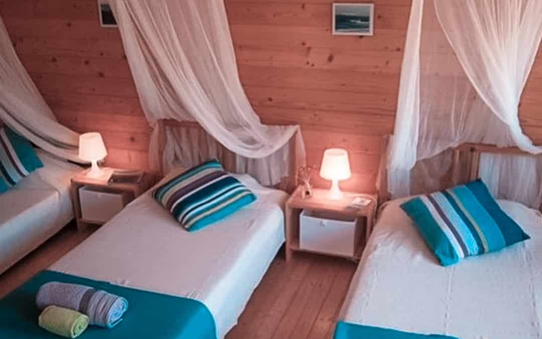 Single beds in a rustic dorm room