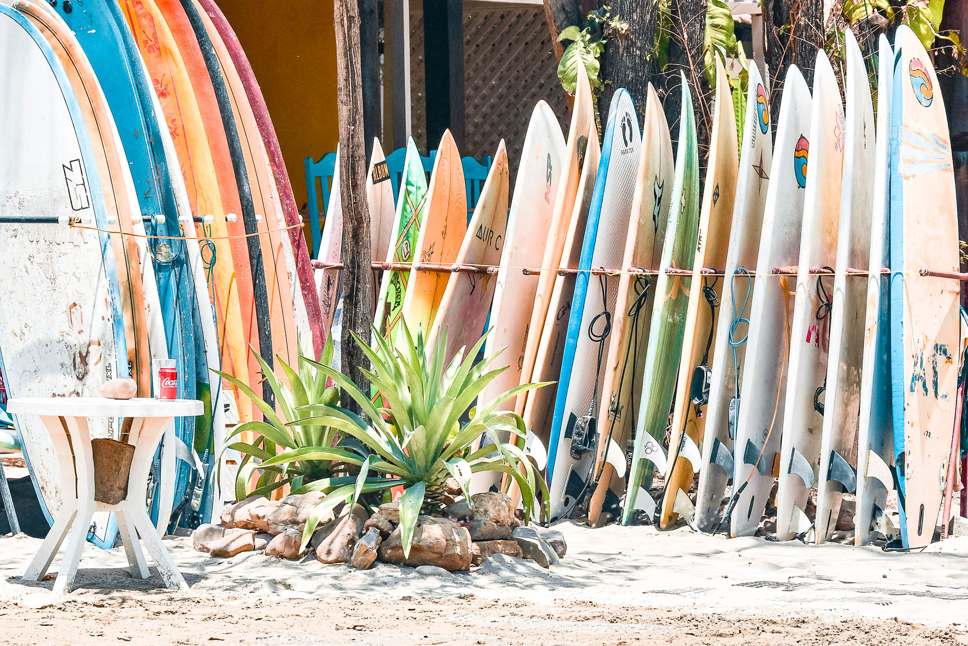 Multiple surf boards lined up.